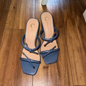 Blue chunky heels / sandals